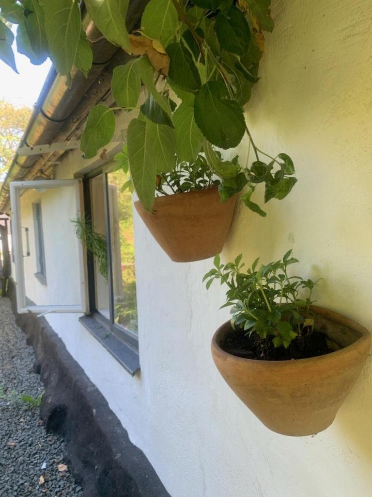 Millans Dockhus Villa Onslunda Exterior photo